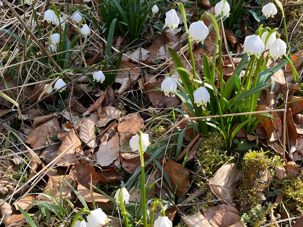 25-03-22 14-27-02 2529